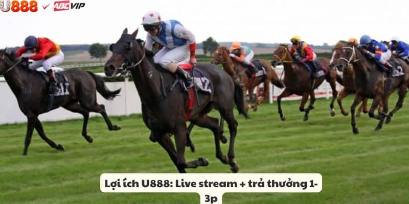 Ưu điểm đua ngựa U888: hỗ trợ 24/7